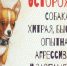 Протоколов стало больше - Газета Красное знамя