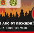 Информационное сообщение о неблагоприятных метеорологических явлениях на 25-26.11.2025 года - Администрация Киржачского района