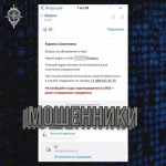 В МВД показали рассылку мошенников с запросом на обновление почты